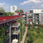 Gebäudegrün am genossenschaftlichen Wohnbauprojekt Wagnis 04 in München