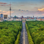 Bäume in der Stadt - Blick auf den Tiergarten in Berlin